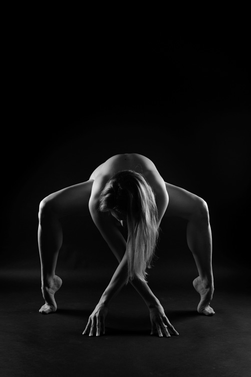 AG_20130313_D800_04519